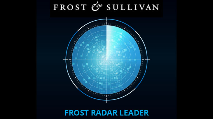 Frost & Sullivan SD-WAN Leader Badge
