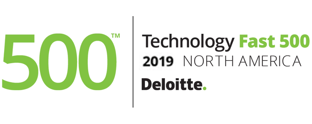 Deloitte 500 logo 2019